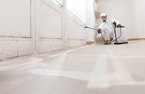 24/7 Emergency Basement Mold Remediation experts in Saint Thomas, PA